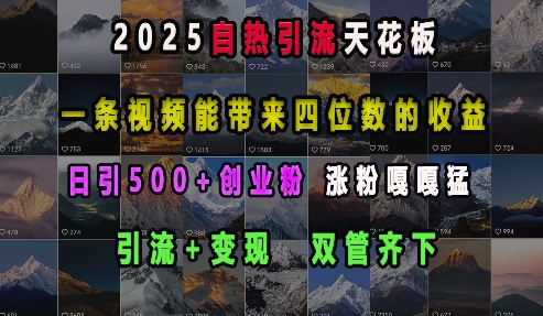 2025自热引流天花板,一条视频能带来四位数的收益,引流+变现双管齐下,日引500+创业粉,涨粉嘎嘎猛